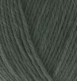 Alize Superwash Artisan Dark Green (546)