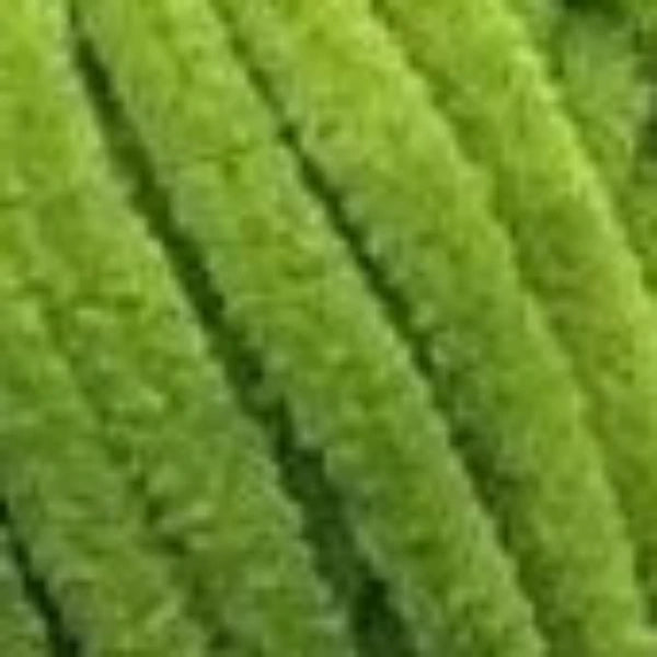 HiMALAYA Dolphin Baby 80371 Moss
